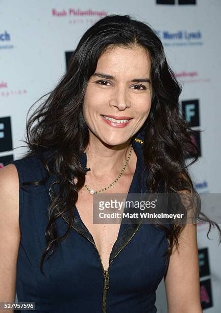 677 Actress Patricia Velasquez Stock Photos & High